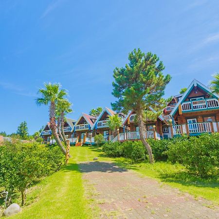 Jungmun Log Pension & Resort Seogwipo Ngoại thất bức ảnh