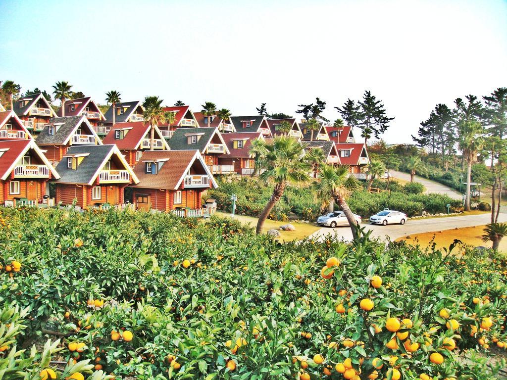 Jungmun Log Pension & Resort Seogwipo Ngoại thất bức ảnh