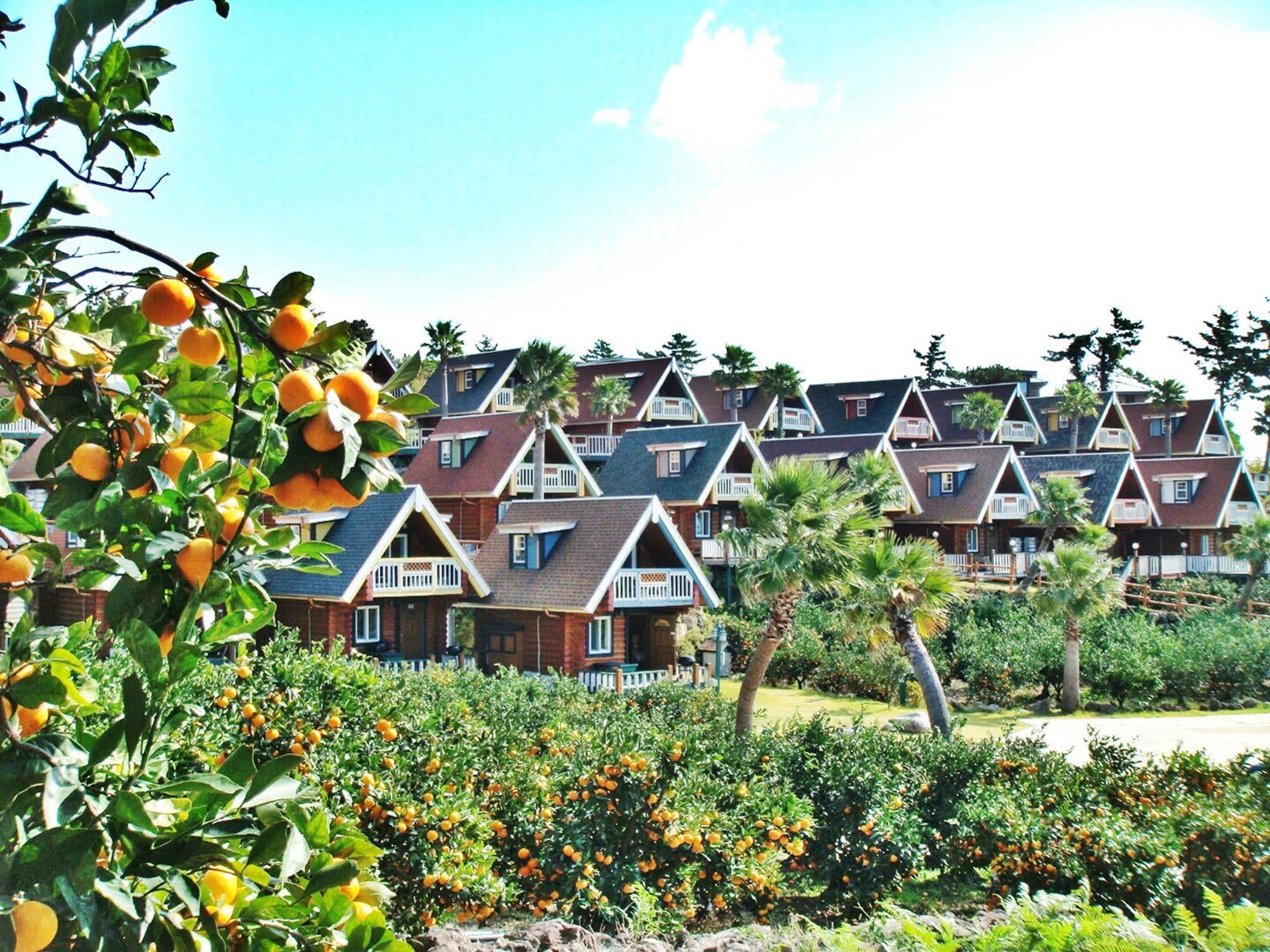 Jungmun Log Pension & Resort Seogwipo Ngoại thất bức ảnh